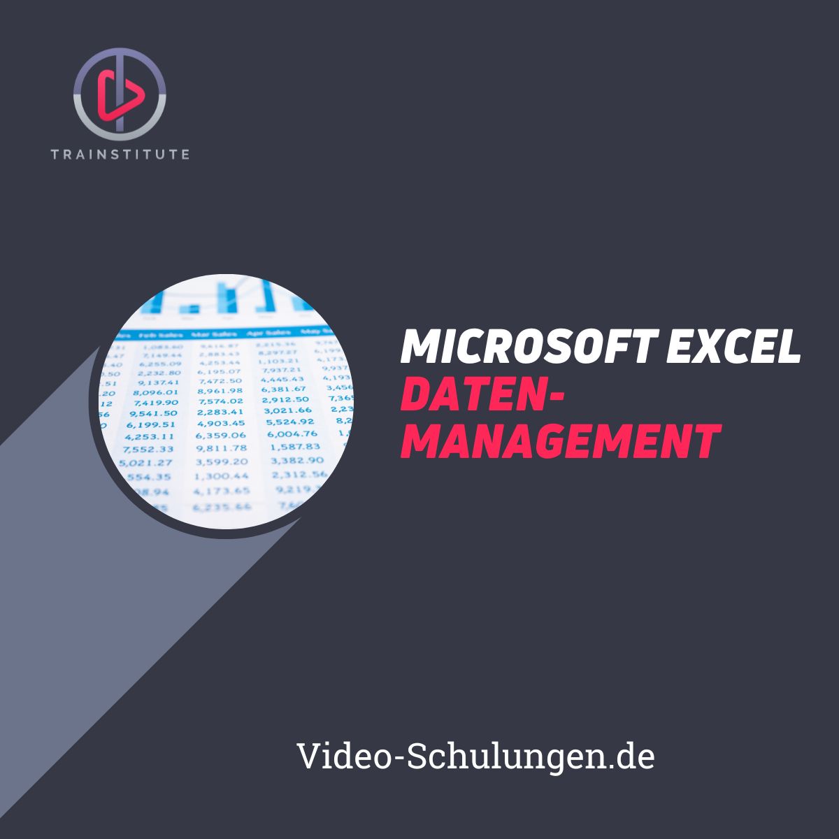 Original-Werbemotiv von Video-Schulungen für Excel: Daten ordnen & verknüpfen.