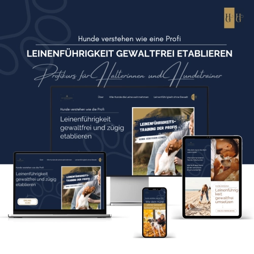 Offizielles Werbemotiv für Leinenführigkeit ohne Gewalt von Hundesozialisation.