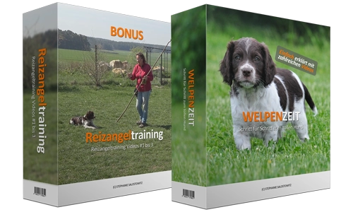 Offizielles Werbemotiv für WELPENZEIT – Schritt für Schritt zum tollen Hund von Hundeerziehung Online.